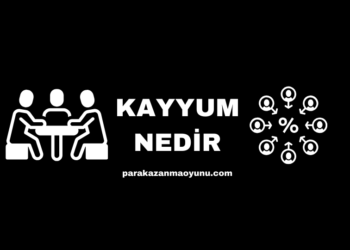 Kayyum Nedir