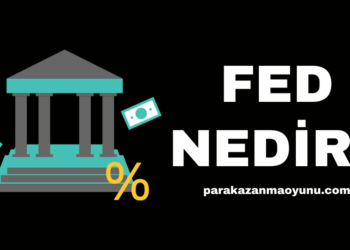 Fed Nedir?
