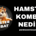 Hamster Kombat Nedir?