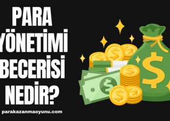 Para Yönetimi Becerisi Nedir?