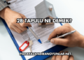 2B Tapulu Ne Demek?