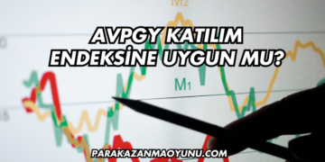 AVPGY Katılım Endeksine Uygun mu?