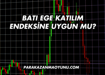 Batı Ege Katılım Endeksine Uygun mu?