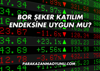 Bor Şeker Katılım Endeksine Uygun mu?
