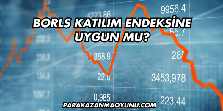 Borls Katılım Endeksine Uygun mu?