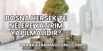 Bosna Hersek’te Nelere Yatırım Yapılmalıdır?