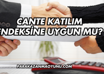 CANTE Katılım Endeksine Uygun mu?