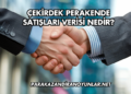 Çekirdek Perakende Satışları Verisi Nedir?