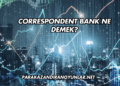 Correspondent Bank Ne Demek?
