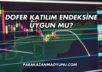 Dofer Katılım Endeksine Uygun mu?