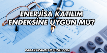 Enerjisa Katılım Endeksine Uygun mu?