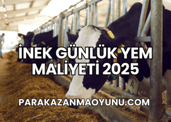 İnek Günlük Yem Maliyeti 2025