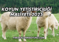 Koyun Yetiştiriciliği Maliyeti 2025