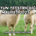 Koyun Yetiştiriciliği Maliyeti 2025