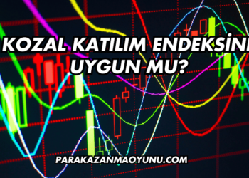 Kozal Katılım Endeksine Uygun mu?