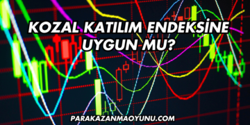 Kozal Katılım Endeksine Uygun mu?
