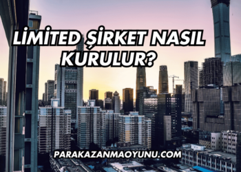 Limited Şirket Nasıl Kurulur?