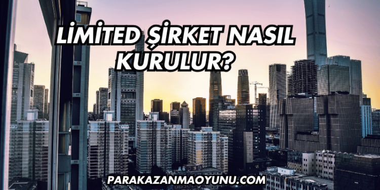 Limited Şirket Nasıl Kurulur?