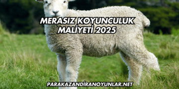Merasız Koyunculuk Maliyeti 2025