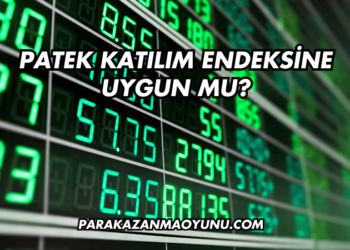 Patek Katılım Endeksine Uygun mu?