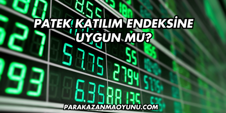 Patek Katılım Endeksine Uygun mu?