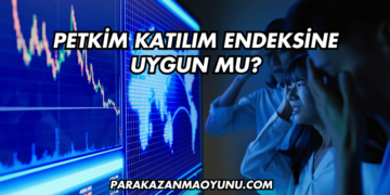 Petkim Katılım Endeksine Uygun mu?