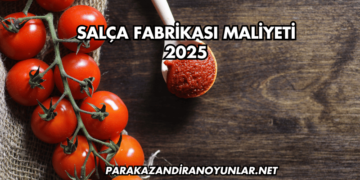Salça Fabrikası Maliyeti 2025