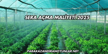 Sera Açma Maliyeti 2025