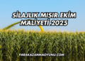 Silajlık Mısır Ekim Maliyeti 2025