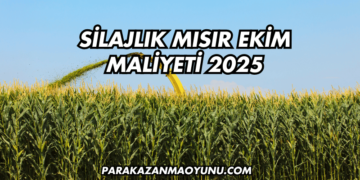 Silajlık Mısır Ekim Maliyeti 2025