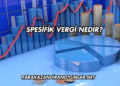 Spesifik Vergi Nedir?