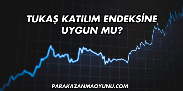 Tukaş Katılım Endeksine Uygun mu?