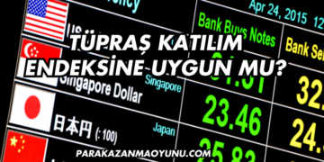 Tüpraş Katılım Endeksine Uygun mu?