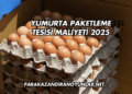 Yumurta Paketleme Tesisi Maliyeti 2025
