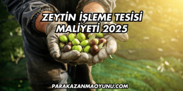 Zeytin İşleme Tesisi Maliyeti 2025